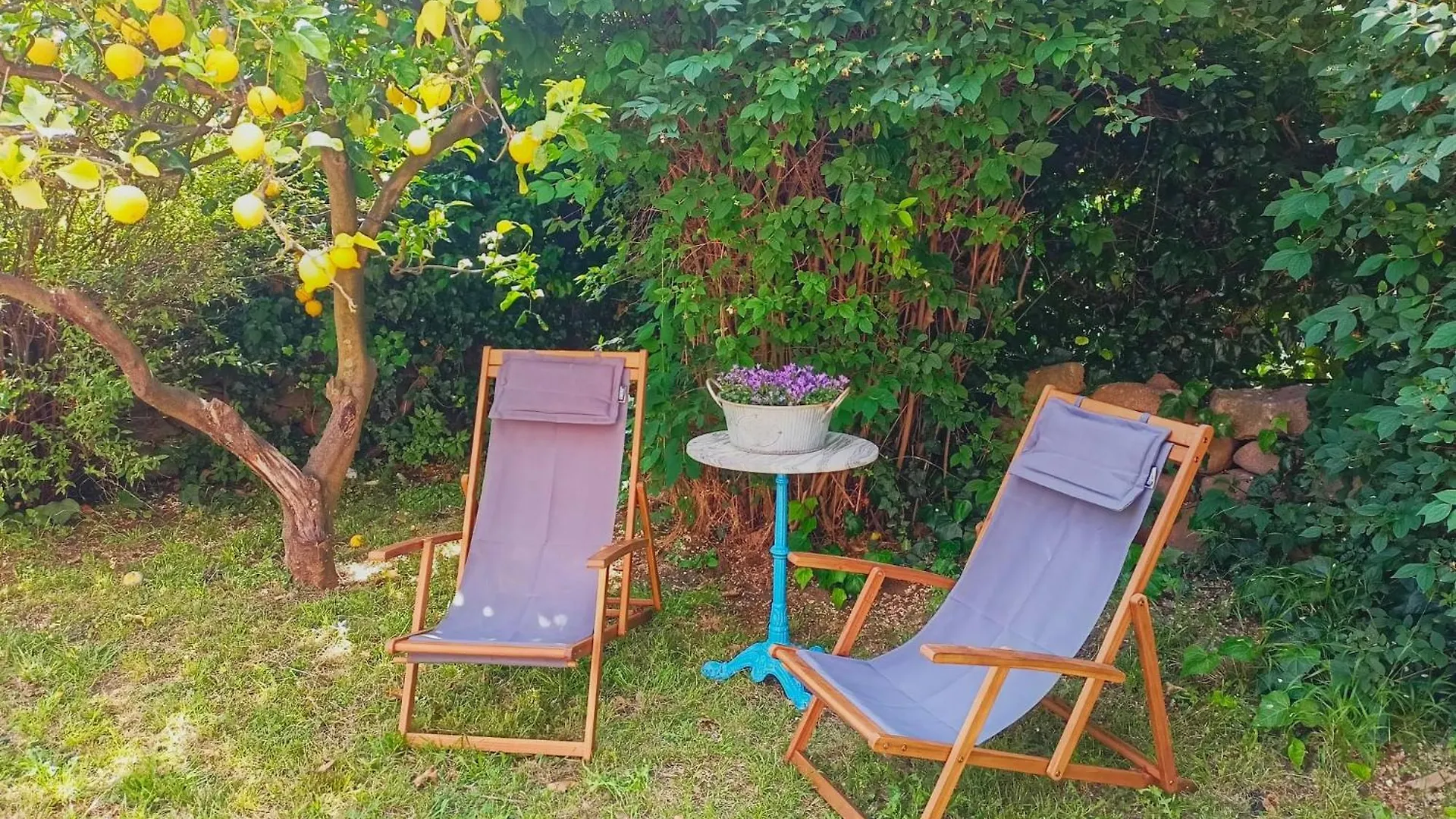 Villa Ontanelli Marciana Marina  Appartement Marciana Marina (Isola d'Elba)